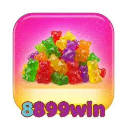 8899win