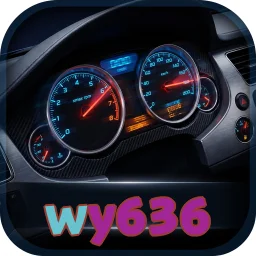 wy636